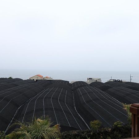 Haevichi Pension Seogwipo Bagian luar foto